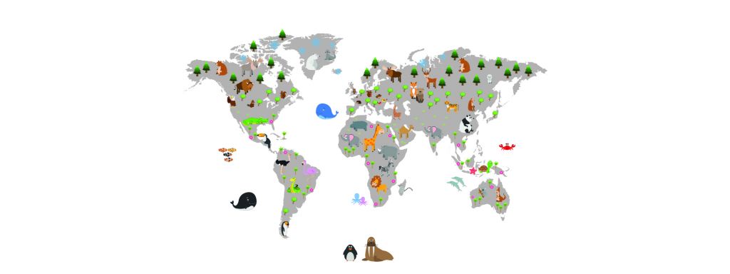 Mapa del mundo para niños con fondo blanco