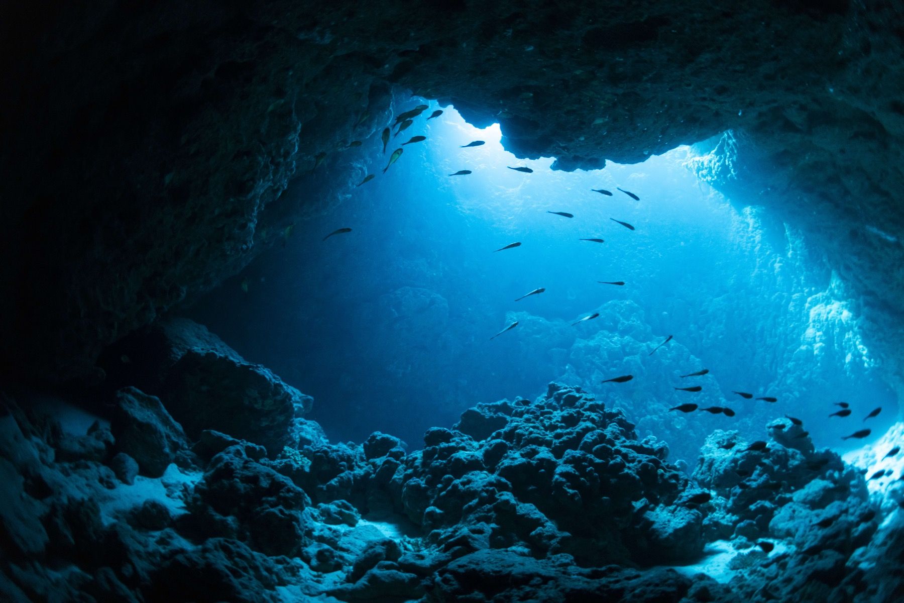 Cueva Submarina Con Peces PapelPintado.com